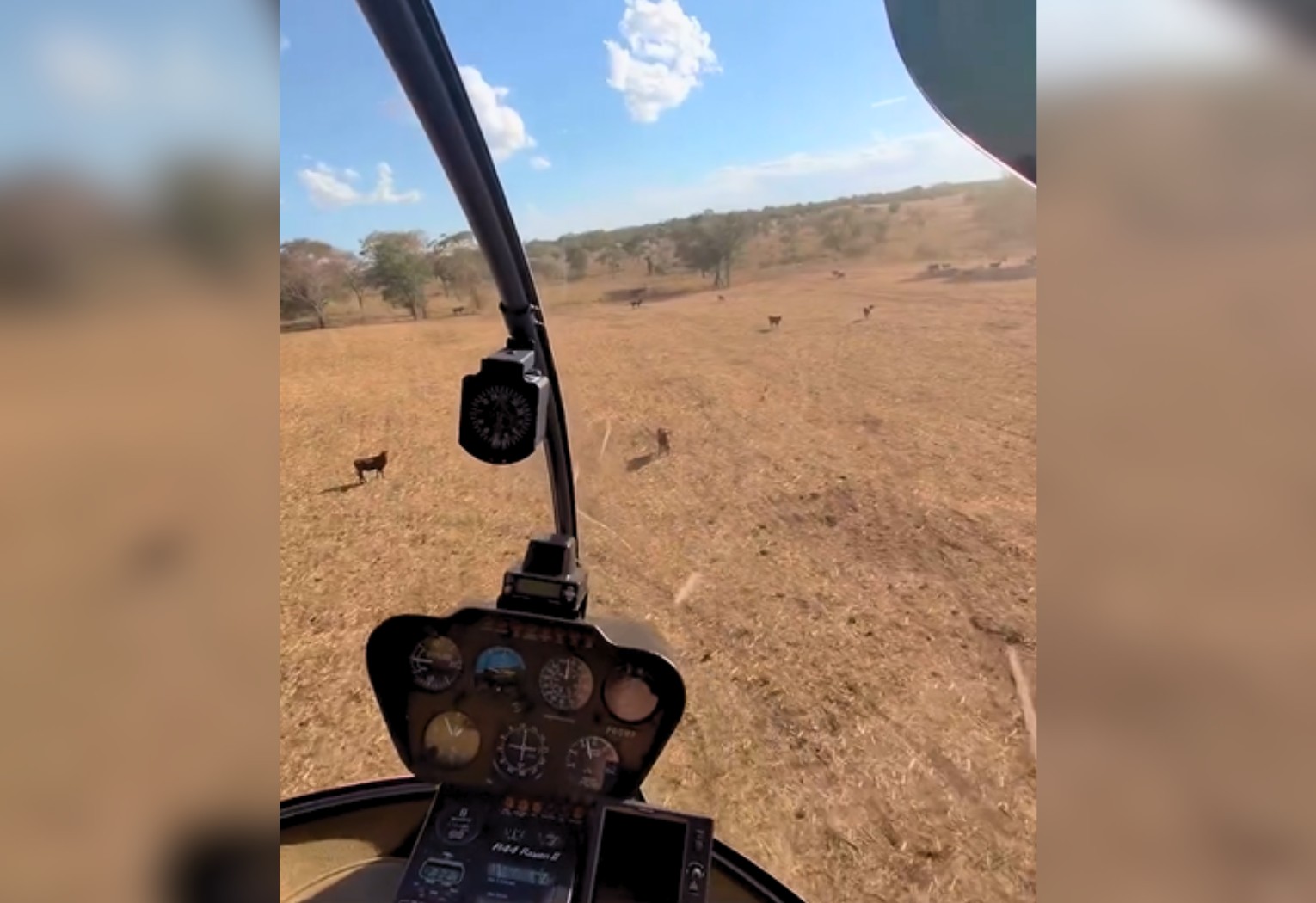 juliano,-da-dupla-com-henrique,-faz-treino-em-helicoptero-e-se-diverte-tocando-gado-em-fazenda;
