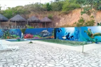 menino-de-7-anos-morre-afogado-em-piscina-de-parque-aquatico-em-olinda