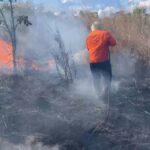 defesa-civil-de-palmas-combate-incendio-de-grandes-proporcoes-em-fazenda-no-distrito-de-buritirana