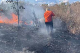 defesa-civil-de-palmas-combate-incendio-de-grandes-proporcoes-em-fazenda-no-distrito-de-buritirana