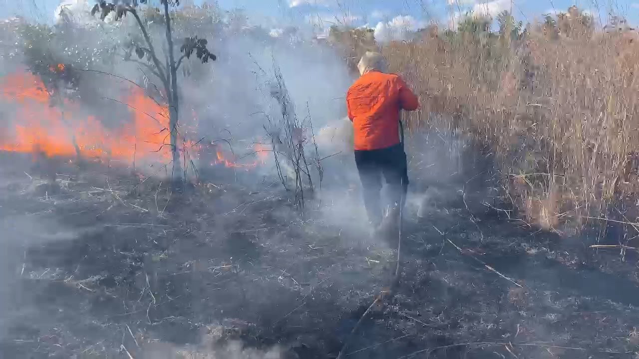 defesa-civil-de-palmas-combate-incendio-de-grandes-proporcoes-em-fazenda-no-distrito-de-buritirana
