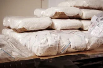 pf-desarticula-rede-que-exportava-cocaina-em-sacas-de-cafe-e-cimento