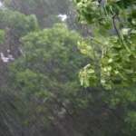 el-nino-e-um-dos-causadores-do-vendaval,-mas-nao-o-unico-fator,-dizem-meteorologistas