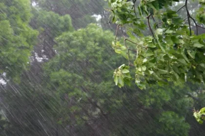el-nino-e-um-dos-causadores-do-vendaval,-mas-nao-o-unico-fator,-dizem-meteorologistas