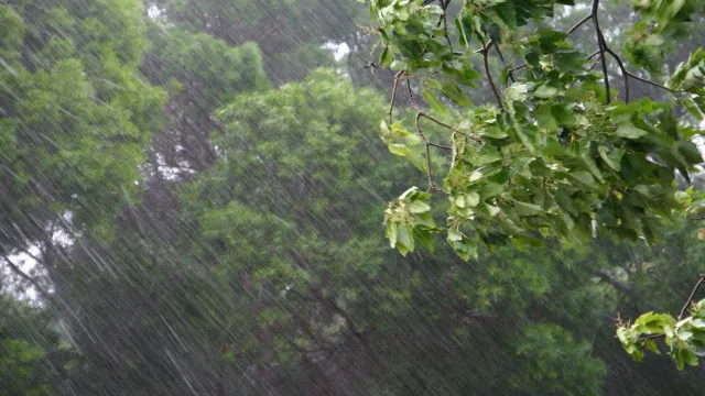 el-nino-e-um-dos-causadores-do-vendaval,-mas-nao-o-unico-fator,-dizem-meteorologistas