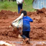 somente-tres-estados-tem-plano-vigente-contra-o-trabalho-infantil