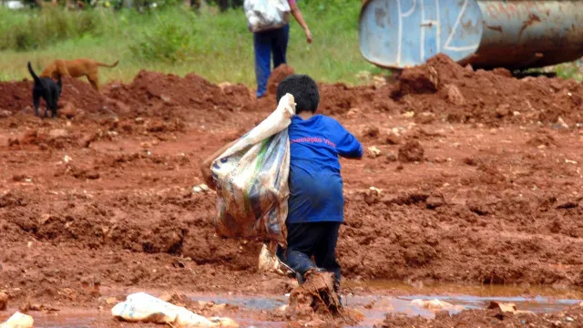 somente-tres-estados-tem-plano-vigente-contra-o-trabalho-infantil