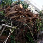 ventania-em-rj,-sp-e-rs-expoe-falhas-na-resposta-a-extremos-climaticos