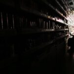procon-rj-orienta-sobre-danos-em-aparelhos por-falta-de-luz