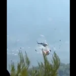 localizadas-tripulacoes-dos-dois-helicopteros-que-colidiram-na-grecia