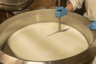 menino-morre-apos-9-anos-em-estado-vegetativo-por-queijo-contaminado