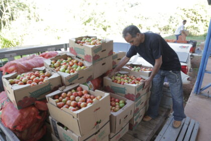 araguaina-abre-credenciamento-para-agricultores-familiares-fornecerem-alimentos-a-entidades-beneficentes