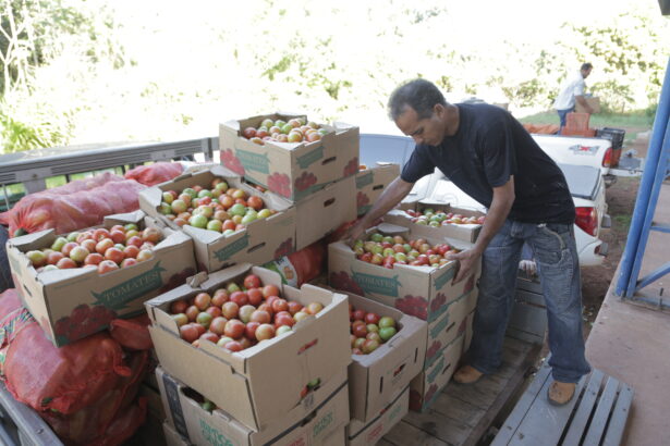 araguaina-abre-credenciamento-para-agricultores-familiares-fornecerem-alimentos-a-entidades-beneficentes