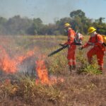 brigadistas-contratados-pelo-municipio-reforcam-combate-a-incendios-durante-periodo-de-estiagem