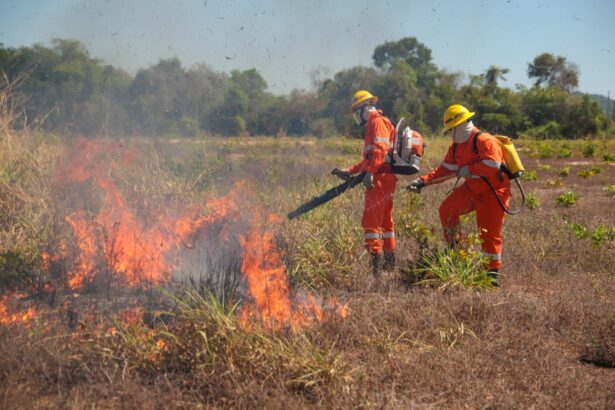 brigadistas-contratados-pelo-municipio-reforcam-combate-a-incendios-durante-periodo-de-estiagem
