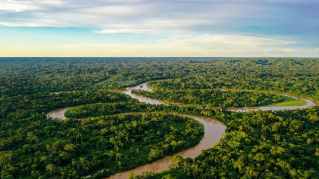alertas-de-desmatamento-na-amazonia-caem-ao-menor-patamar-da-serie-historica