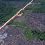 desmatamento-na-amazonia-cai-36,87%-no-ultimo-ano