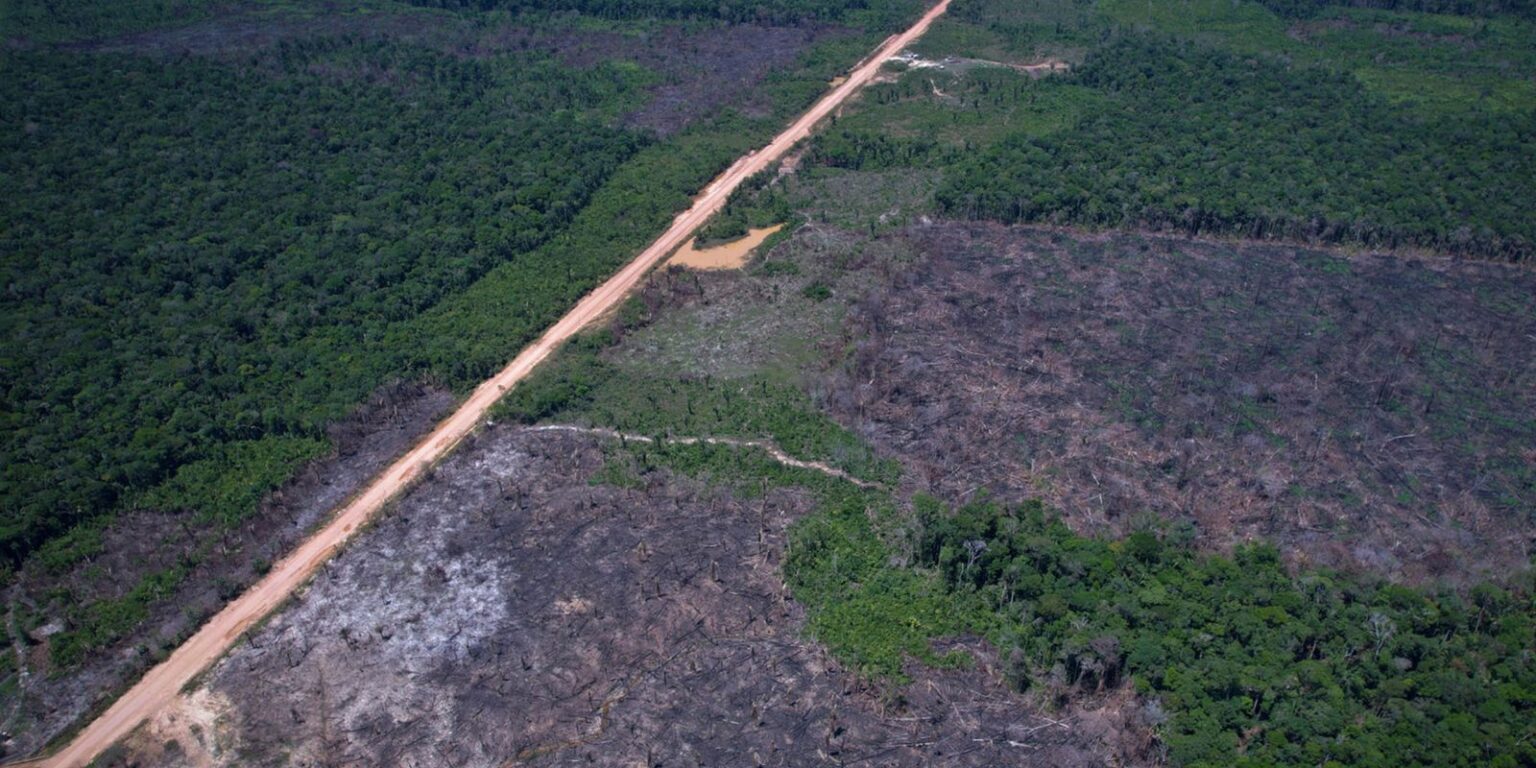 desmatamento-na-amazonia-cai-36,87%-no-ultimo-ano