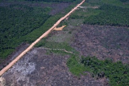 desmatamento-na-amazonia-cai-36,87%-no-ultimo-ano
