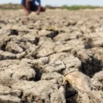 com-el-nino,-ibama-autoriza-reducao-de-vazao-de-agua-em-belo-monte-a-nivel-minimo