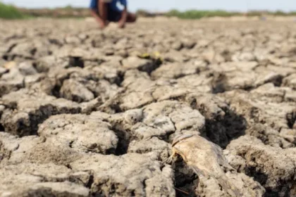 com-el-nino,-ibama-autoriza-reducao-de-vazao-de-agua-em-belo-monte-a-nivel-minimo