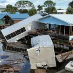 cientistas-recorrem-aos-tubaroes-para-melhorar-previsao-sobre-furacoes