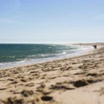 oceanos-batem-recorde-de-calor-em-julho-e-europa-enfrenta-seca-extrema