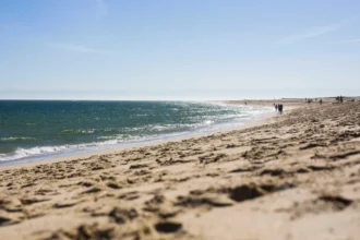 oceanos-batem-recorde-de-calor-em-julho-e-europa-enfrenta-seca-extrema