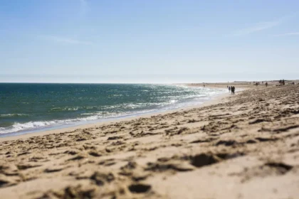 oceanos-batem-recorde-de-calor-em-julho-e-europa-enfrenta-seca-extrema