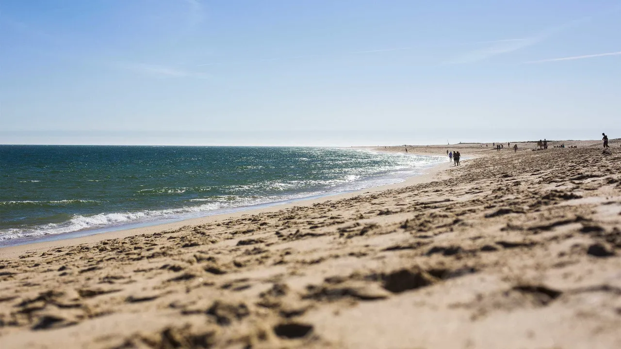 oceanos-batem-recorde-de-calor-em-julho-e-europa-enfrenta-seca-extrema