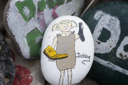 fas-de-‘harry-potter’-fazem-empresa-desistir-de-obra-sobre-tumulo-do-elfo-dobby