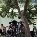 temperaturas-em-sao-paulo-voltam-a-subir-a-partir-de-quarta-feira
