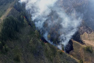 incendios-fecham-escolas-e-mobilizam-48-mil-bombeiros-na-indonesia