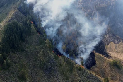 incendios-fecham-escolas-e-mobilizam-48-mil-bombeiros-na-indonesia
