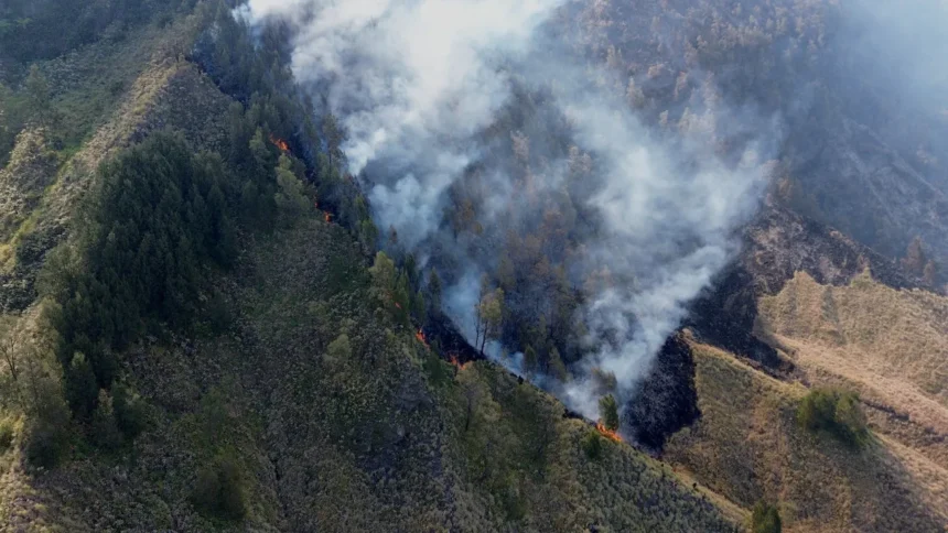 incendios-fecham-escolas-e-mobilizam-48-mil-bombeiros-na-indonesia