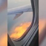 motor-de-aviao-pega-fogo-no-ar-apos-choque-com-passaro;-video