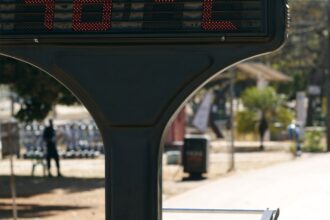 ondas-de-calor-ainda-sao-negligenciadas-no-brasil,-diz-pesquisadora