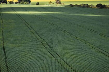 senado-aprova-plano-para-fabricacao-de-fertilizantes-no-brasil