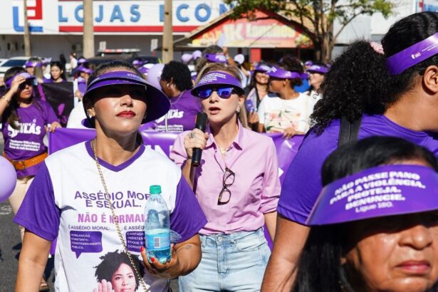 nos-20-anos-da-lei-maria-da-penha,-mpto-reforca-atuacao-integrada-no-enfrentamento-a-violencia-contra-a-mulher