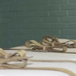 eua-podem-executar-3-presos-hoje-pela-primeira-vez-em-16-anos