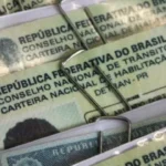 camara-aprova-cassar-cnh-de-quem-usar-carro-para-abandonar-animais-na-rua