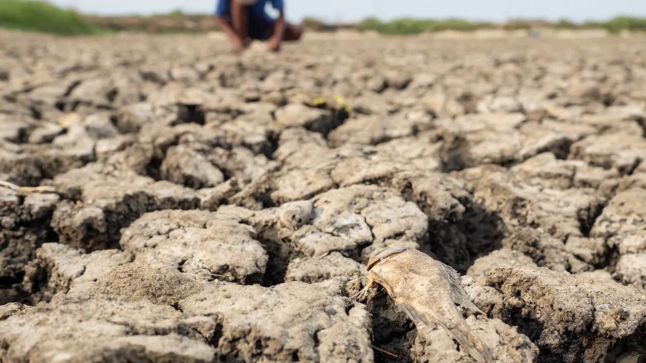 agencia-climatica-preve-90%-de-chance-de-el-nino-muito-forte