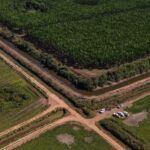 operacao-do-mpto-fiscaliza-uso-da-agua-e-cumprimento-de-medidas-ambientais-na-bacia-do-rio-formoso