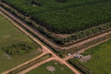 operacao-do-mpto-fiscaliza-uso-da-agua-e-cumprimento-de-medidas-ambientais-na-bacia-do-rio-formoso