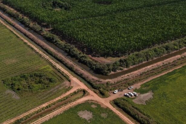operacao-do-mpto-fiscaliza-uso-da-agua-e-cumprimento-de-medidas-ambientais-na-bacia-do-rio-formoso