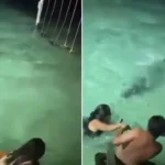 banhistas-escapam-de-crocodilo-durante-banho-noturno-em-resort;-video