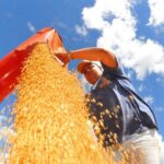 ibc-br-recuou-0,6%-em-junho,-diz-banco-central