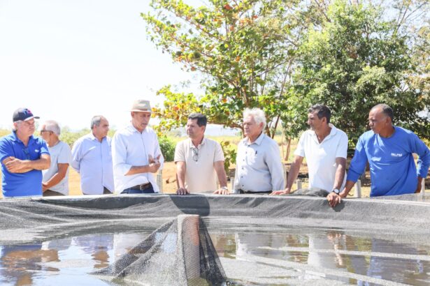 tres-vitrines-tecnologicas-sao-implantadas-na-fazendinha-para-fortalecer-agricultura-familiar-na-capital