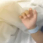 medica-veterinaria-e-atacada-por-cachorro-do-senado-e-esta-em-estado-grave-na-uti