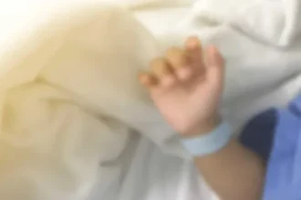 medica-veterinaria-e-atacada-por-cachorro-do-senado-e-esta-em-estado-grave-na-uti